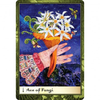 Boadicea's Tarot of Earthly Delights kortos Schiffer Publishing